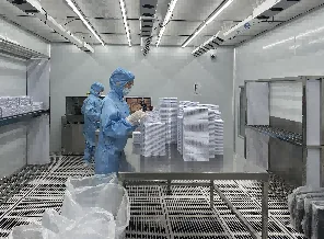 ⑤ 外观全检